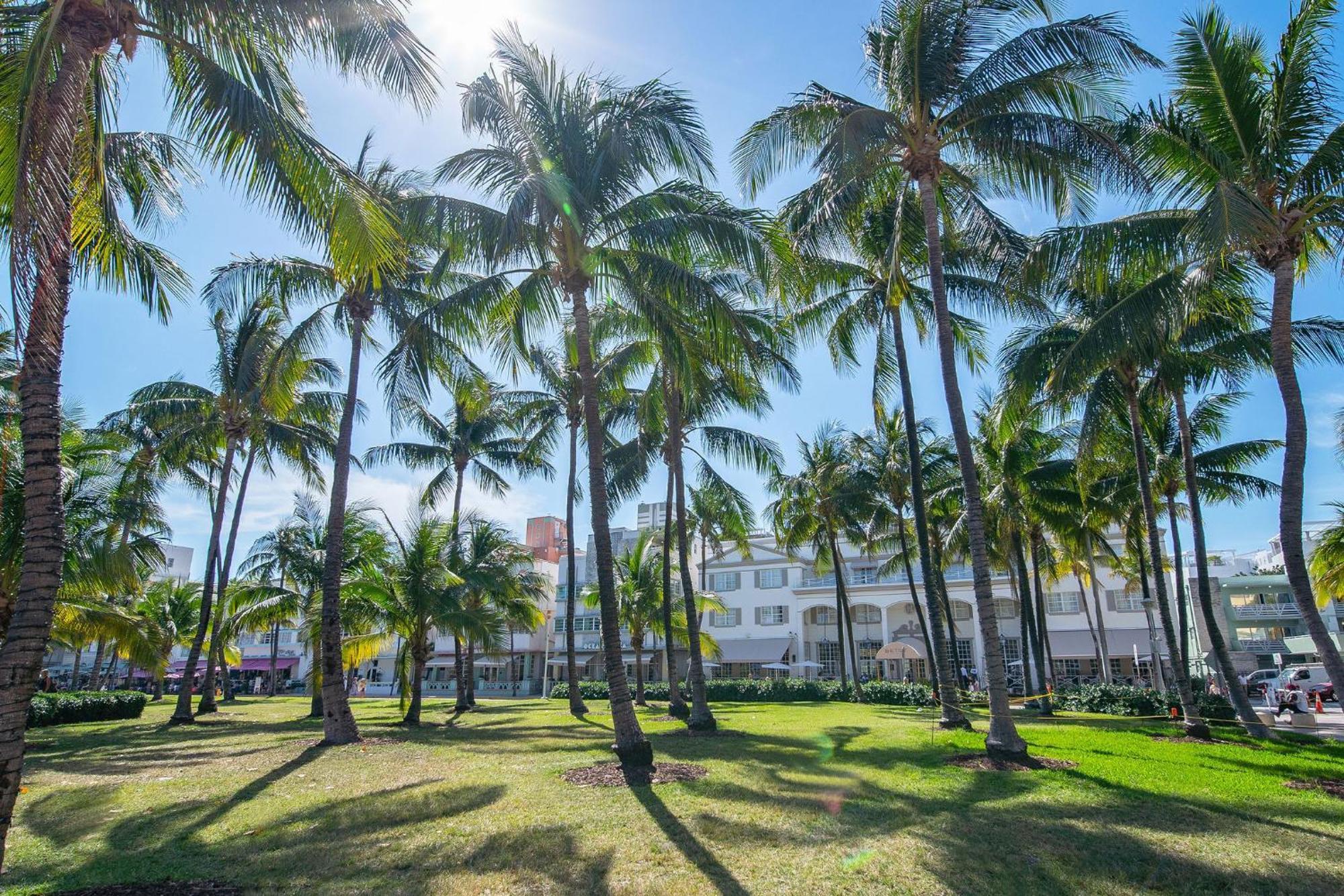 Chic Large Studio Apt Near Ocean Drive South Beach Маямі-Біч Екстер'єр фото
